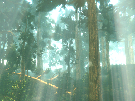 Dark Forest