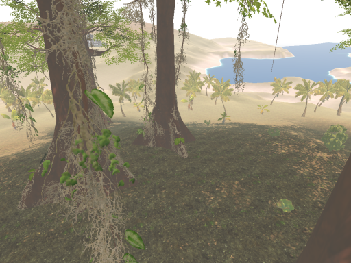 Jungle Coast Line