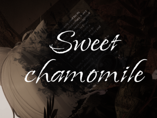 Sweet chamomile
