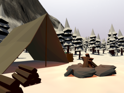 CAMPSIGHT
