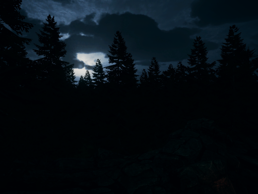 The Drakwald