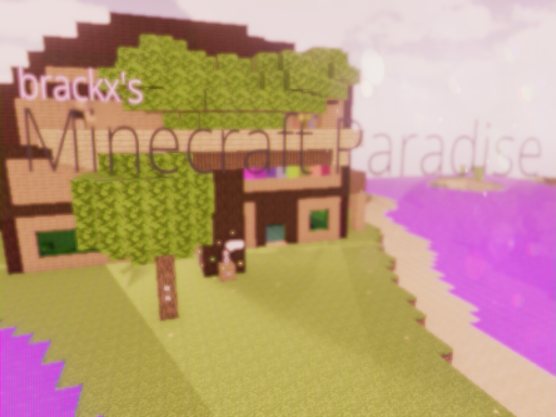 Minecraft Paradise