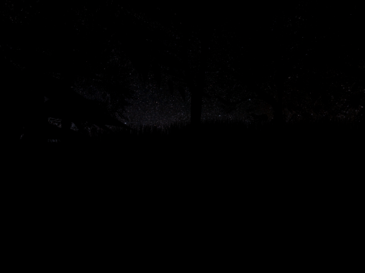 Rainy Campground