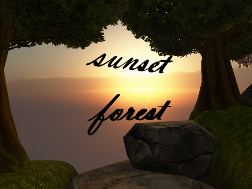 Sunset forest