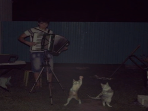 Test