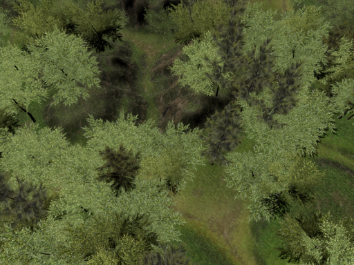 Test Forest