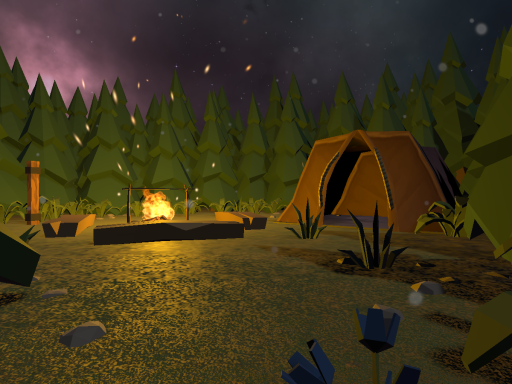 Night Forest