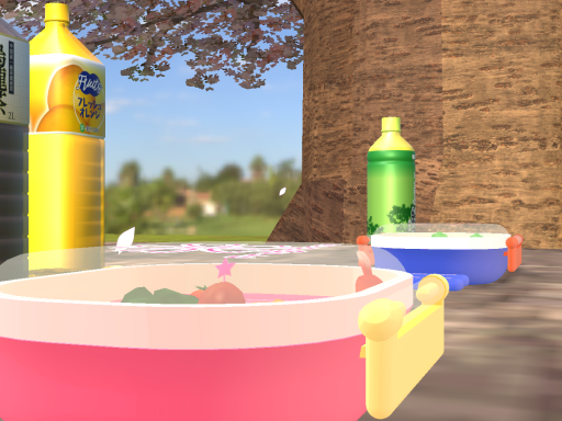Sakura Picnic