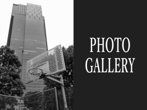 PHOTO GALLERY