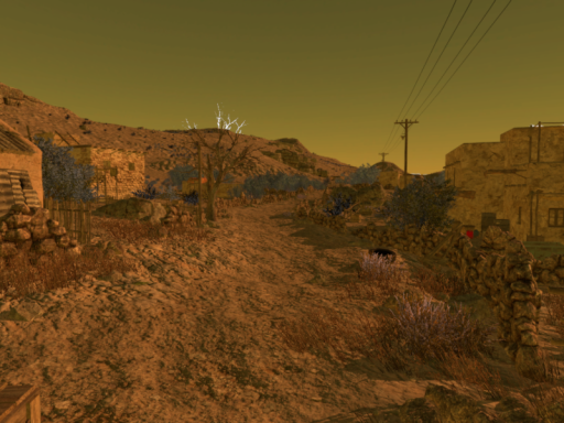 Desert