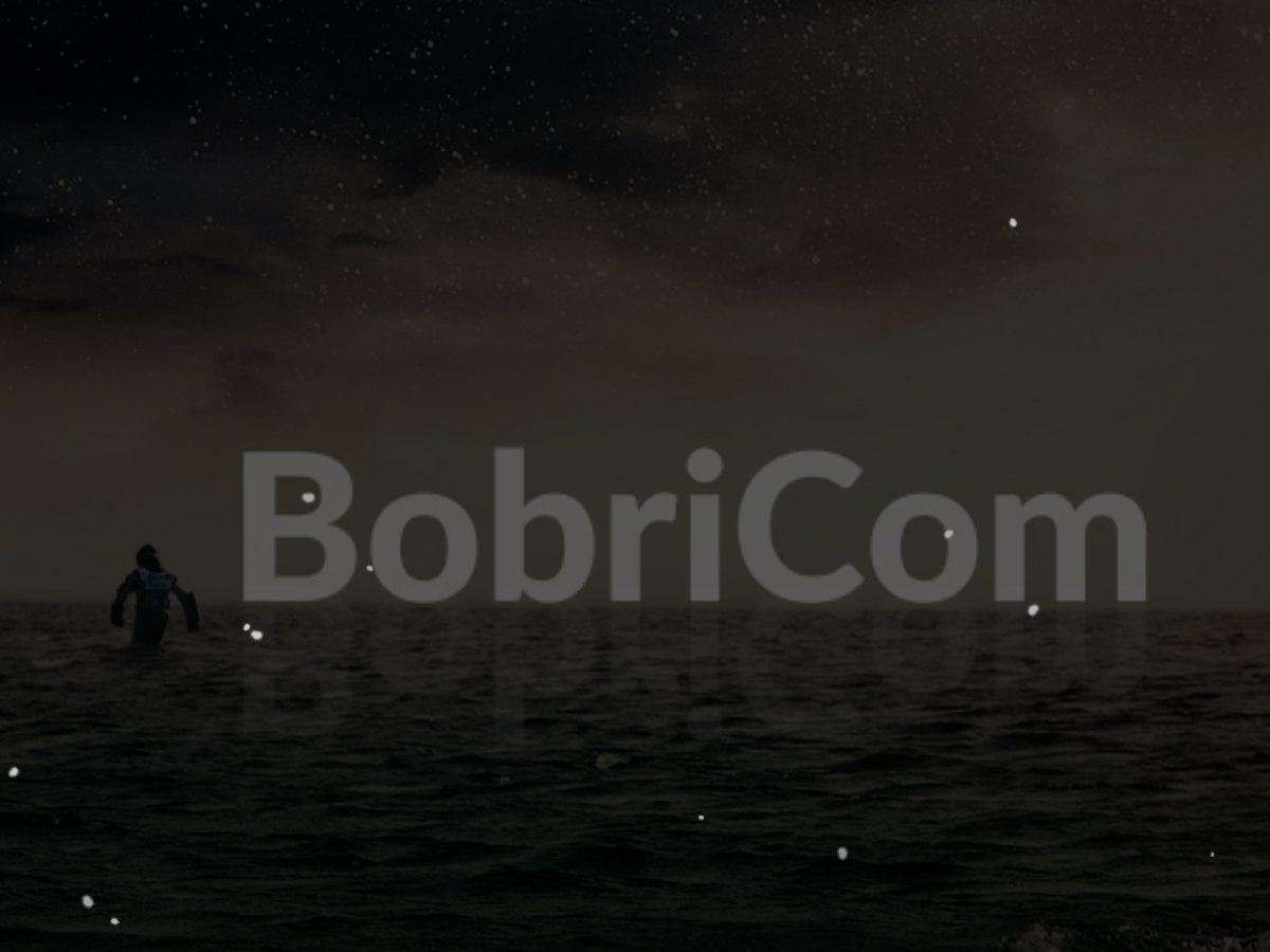 BobriCom