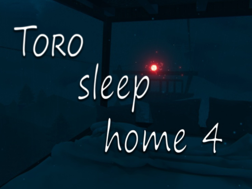 Toro sleep home 4