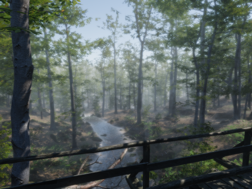 Forest Environment