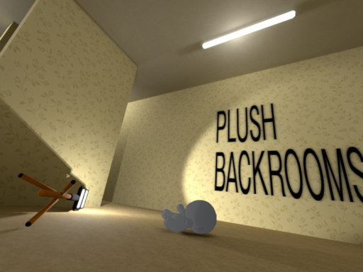 PLUSH BACKROOMS