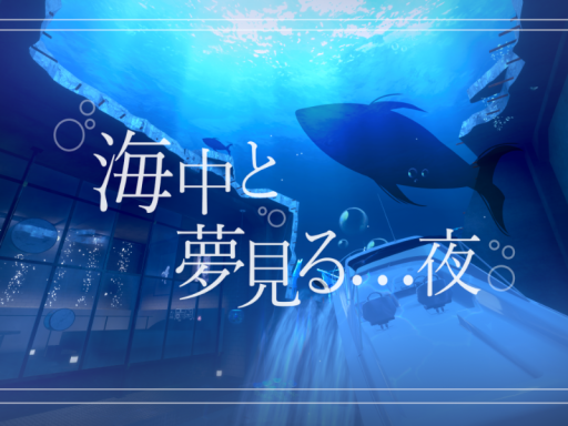 海中と夢見る夜