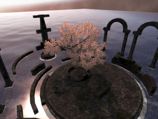 A Lonely Tree