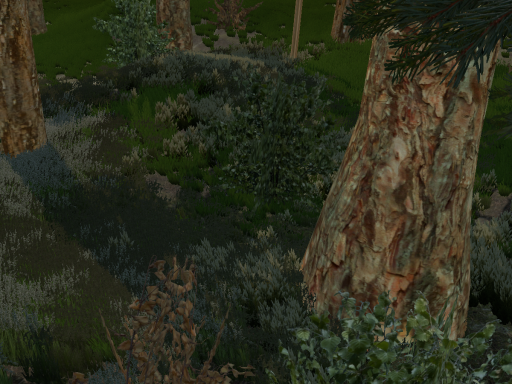 Neisza's Forrest