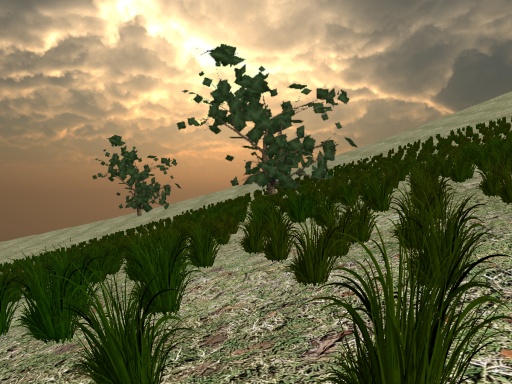 The plains