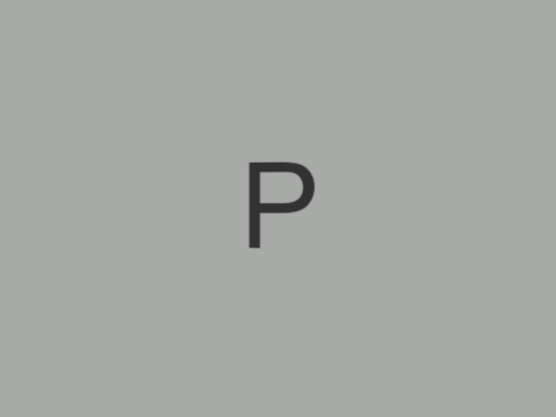 P集会