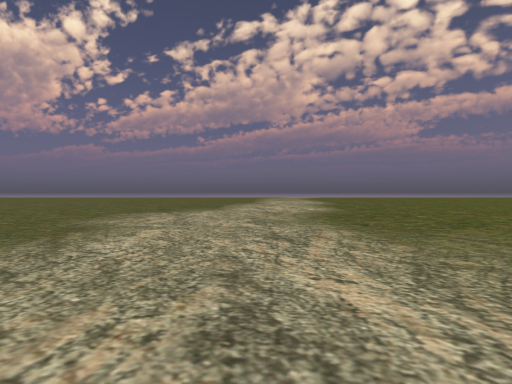 The Terrain
