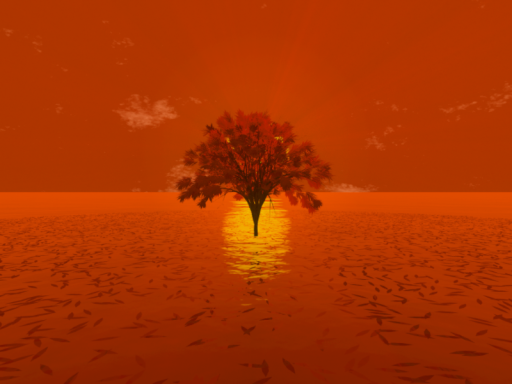 Sunset Dreams
