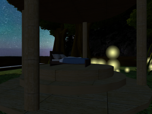 Night Forest