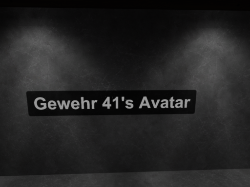 Gewehr41 Avatar World