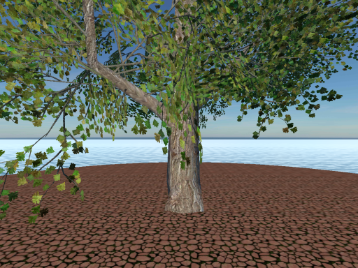 Tree in the ocean
