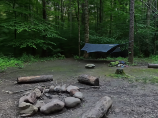 Savage Gulf Campsite 3DGS