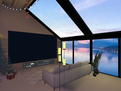 The View