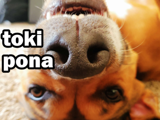 Toki Pona Booth