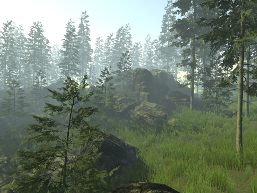 Forest of Dreams