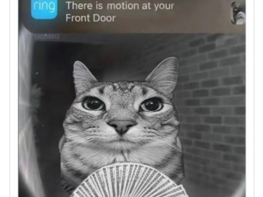 Fusion