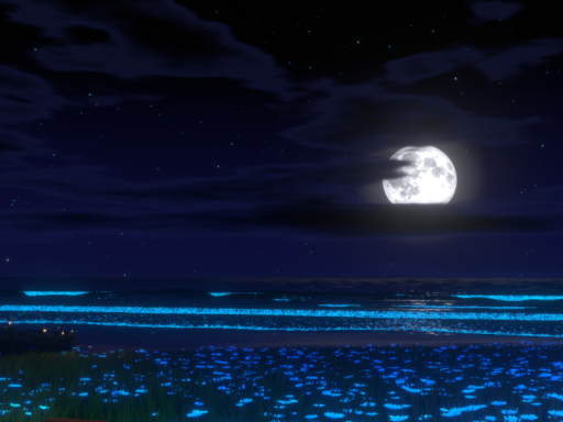 Moon Night （Carmel 's birthday 2026）