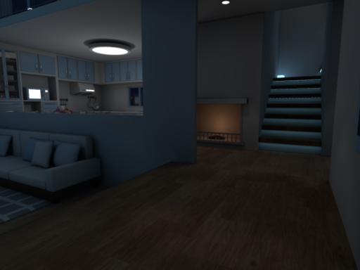 egorinHOME_Night