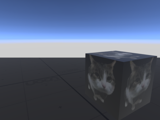 this has a cat image in it