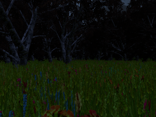 Just The Woods