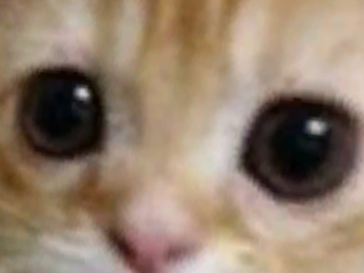 EL GATO WORLD
