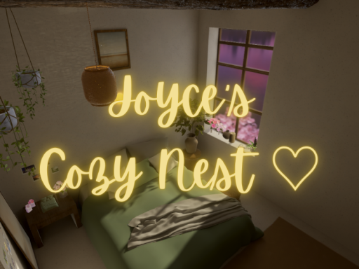 Joyce's Nest