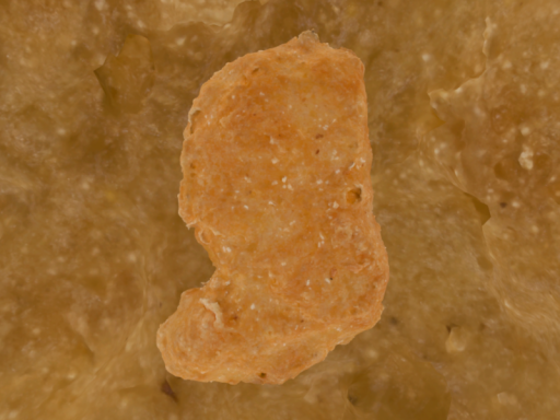 Inside Chicken McNugget