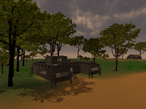 Forest Camp