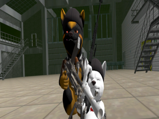 Merc Shiba Hangout