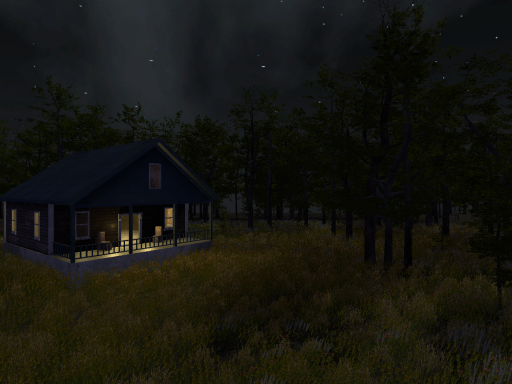 The Woods