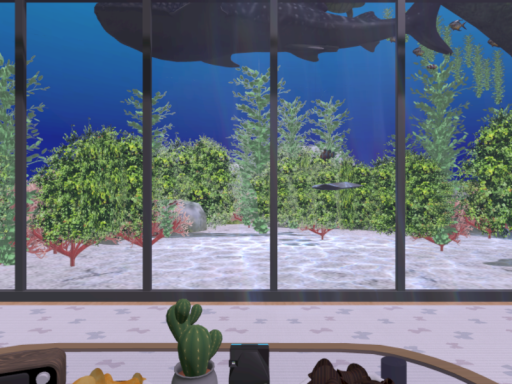 sitimi-'s room