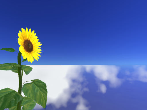 My Summer Shot