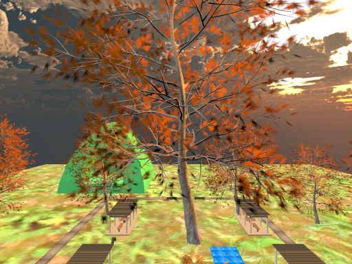 Autumn Camp Park