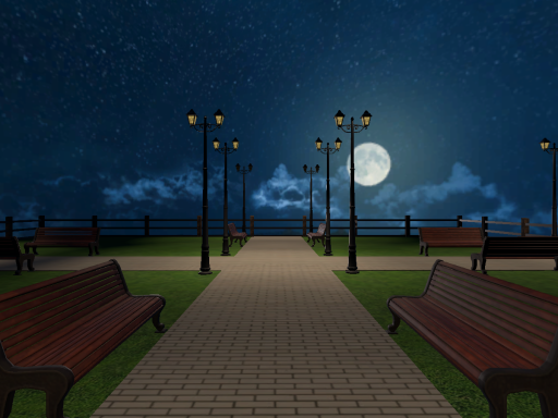 Night Park