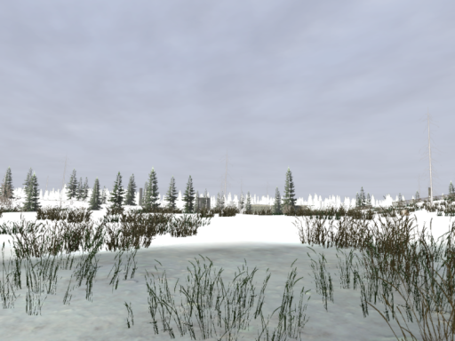 BAF Snowland