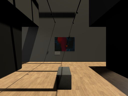 Mapel's Avatar Museum