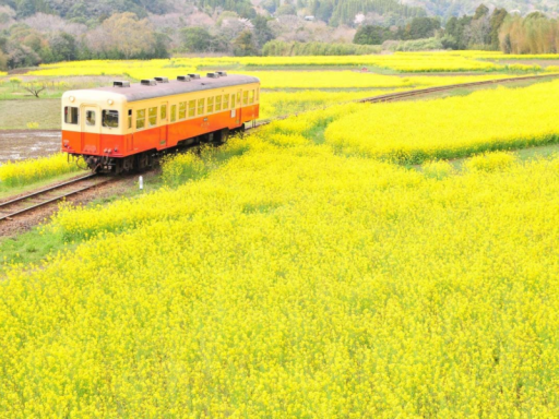 夕凪臨海鉄道